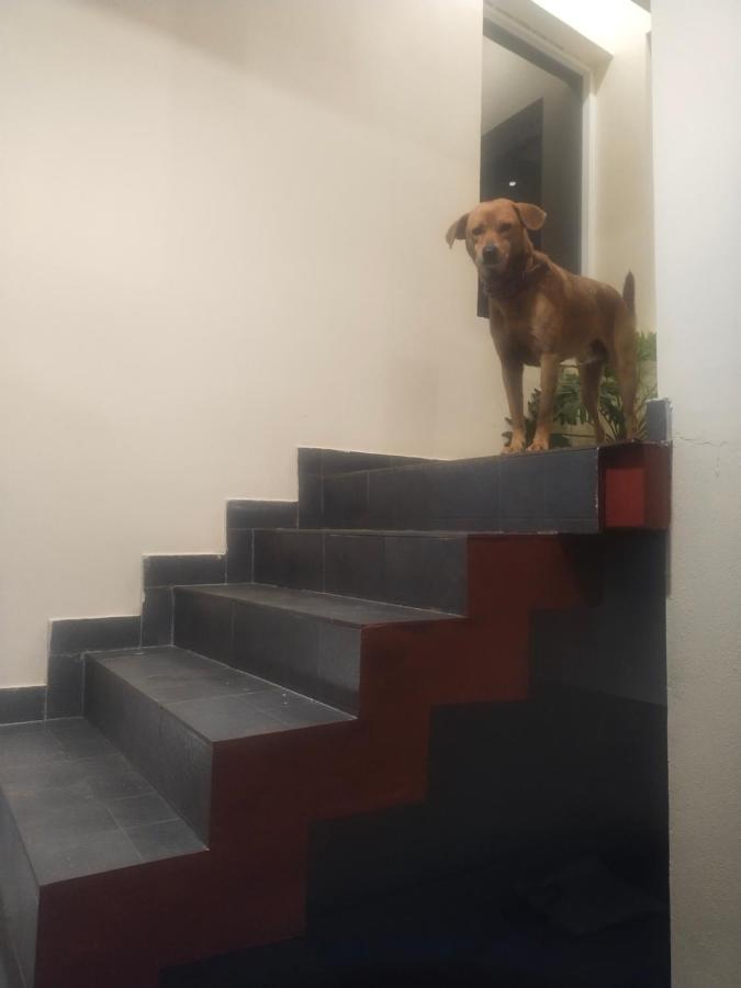 Two Bedroom House Madikeri Extérieur photo